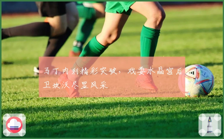 马丁内利精彩突破,戏耍水晶宫后卫坎沃尽显风采