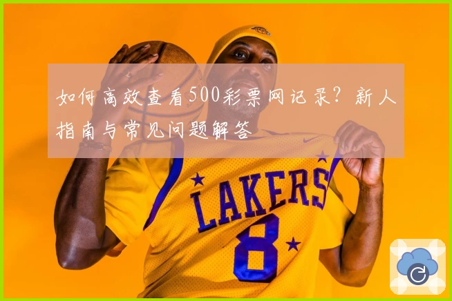 如何高效查看500彩票网记录？新人指南与常见问题解答