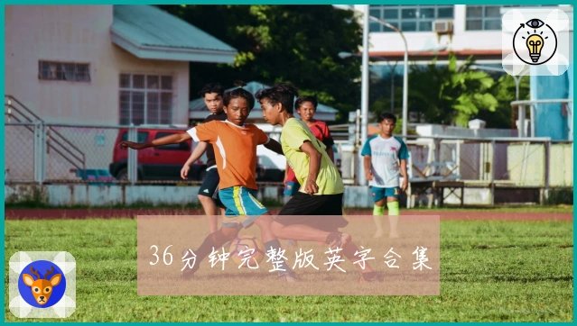 36分钟完整版英字合集