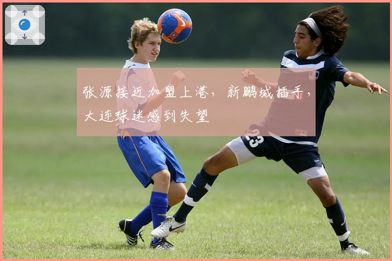 张源接近加盟上港，新鹏城插手，大连球迷感到失望