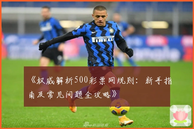 《权威解析500彩票网规则：新手指南及常见问题全攻略》